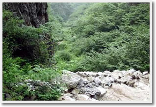 The Cool Waterfall Valley Hiking Day Trip